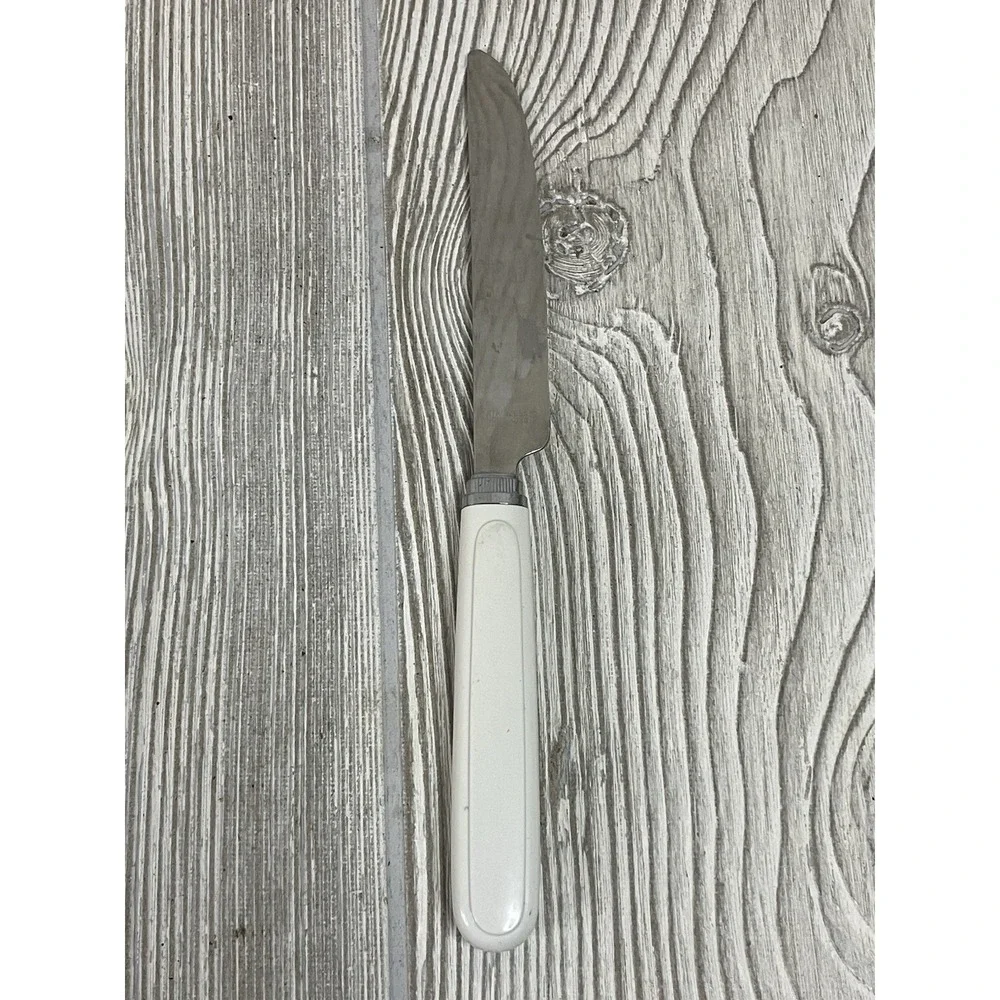 Corelle vintage steak